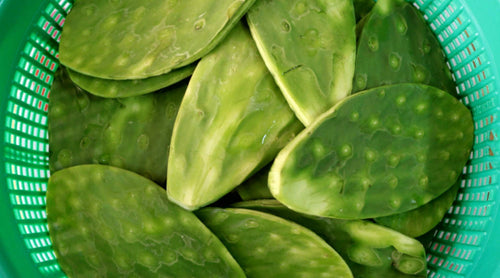 Fresh Edible Spineless Cactus Nopales Paddle 2 lbs.