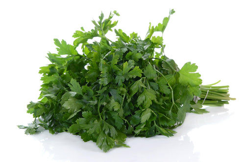 Fresh Green Parsley Bunch by RawJoy Farms