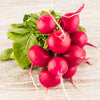 Pink Beauty Radish Seeds -Raphanus sativus - Heirloom Variety - 5g Pack (Over 400 Seeds)
