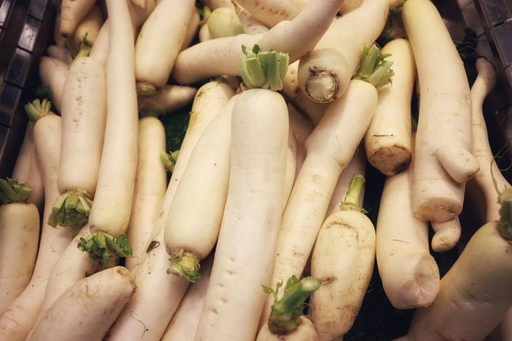 Fresh White Radish by RawJoy Farms