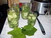 Cucumber, Straight Eight Cucumber Seeds, Heirloom, 499+ Seeds, Great for Salads/Snack