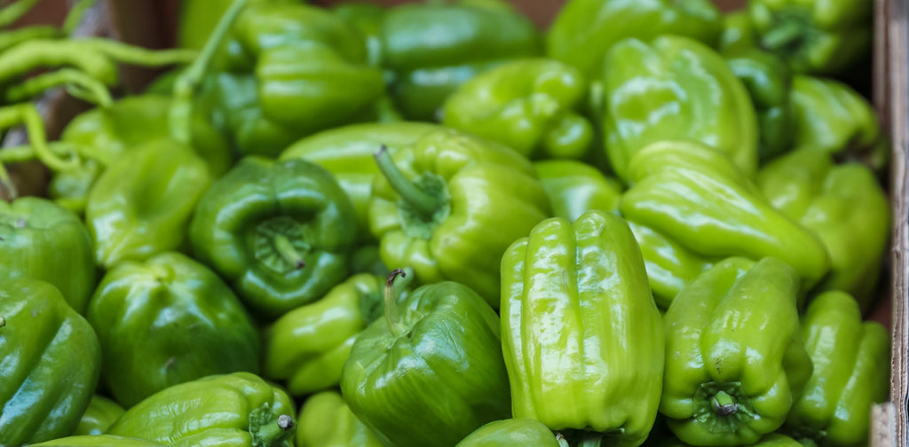 Fresh Organic Green Bell Peppers by RawJoy Farms (3 Pound)