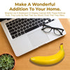 4 PCS Realistic Fake Banana Artificial Plastic Banana Lifelike Plastic Foam