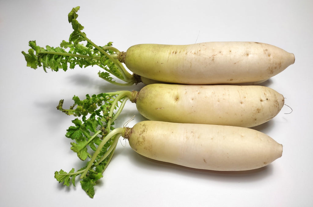 Fresh White Radish by RawJoy Farms