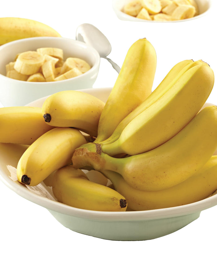 Baby Bananas