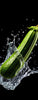 DesertUSA Black Beauty Zucchini Summer Squash Seeds - Cucurbita Pepo (100+ Seeds)
