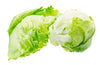 Fresh Iceberg Lettuce by RawJoy Farms