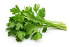 Fresh Green Parsley Bunch by RawJoy Farms