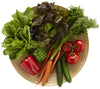 Salad Lover
