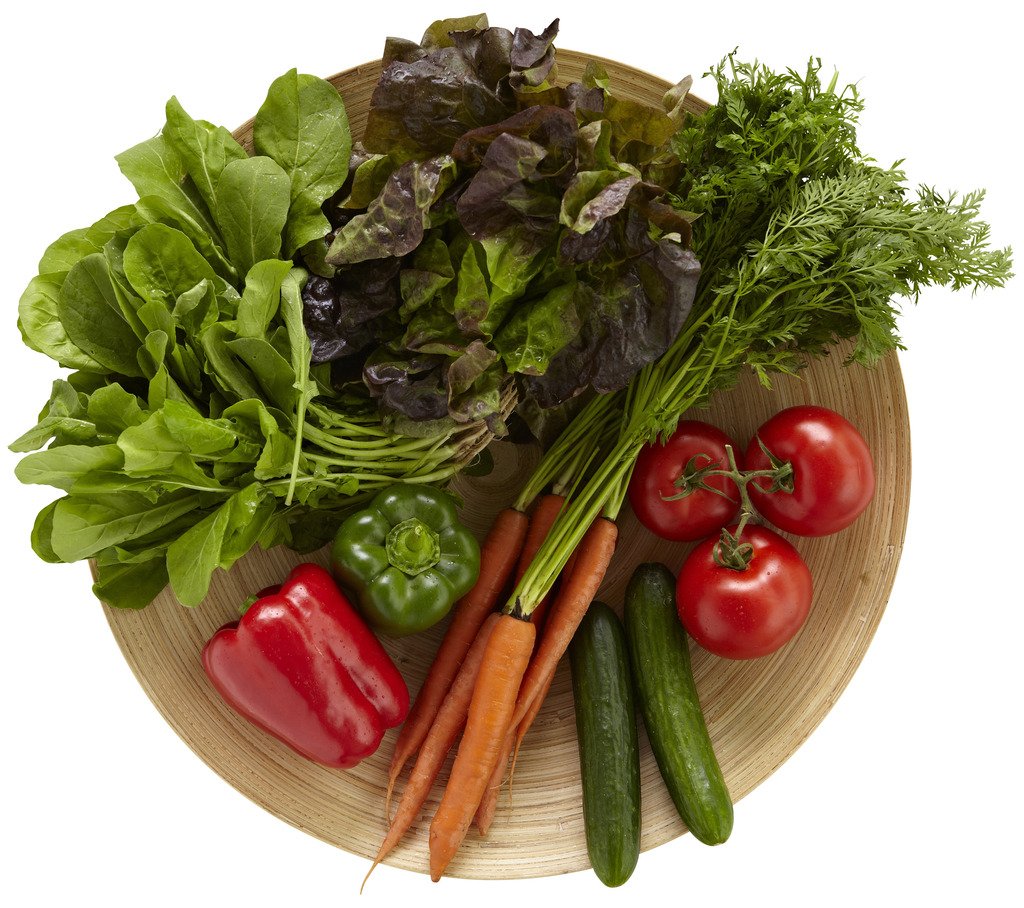 Salad Lover