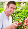 Pink Beauty Radish Seeds -Raphanus sativus - Heirloom Variety - 5g Pack (Over 400 Seeds)
