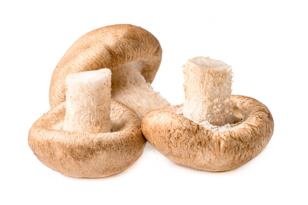 Fresh Mushrooms by RawJoy Farms