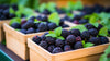 Fresh Delicious Blackberries by RawJoy Farms, 2 Pound