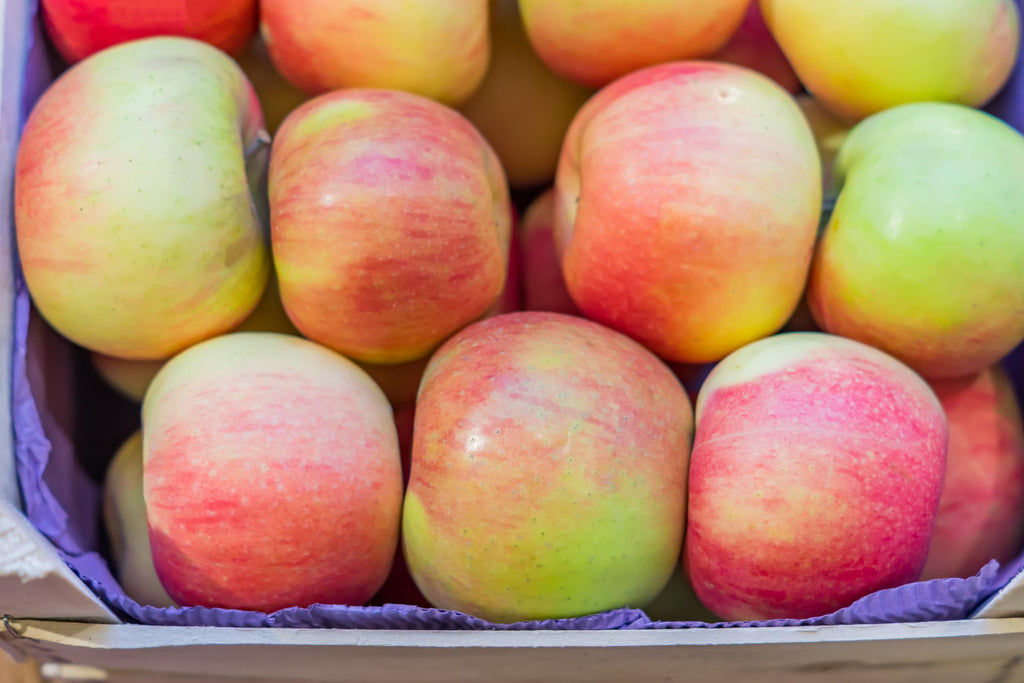Fresh delicious Gala Apples by RawJoy Farms, 1 Pound