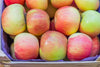 Fresh delicious Gala Apples by RawJoy Farms, 1 Pound