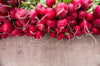 Pink Beauty Radish Seeds -Raphanus sativus - Heirloom Variety - 5g Pack (Over 400 Seeds)