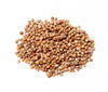 Pink Beauty Radish Seeds -Raphanus sativus - Heirloom Variety - 5g Pack (Over 400 Seeds)
