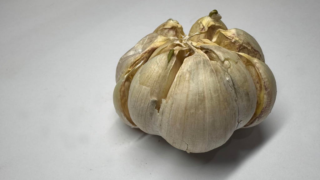 Organic Fresh Elephant Garlic by RawJoy Farms
