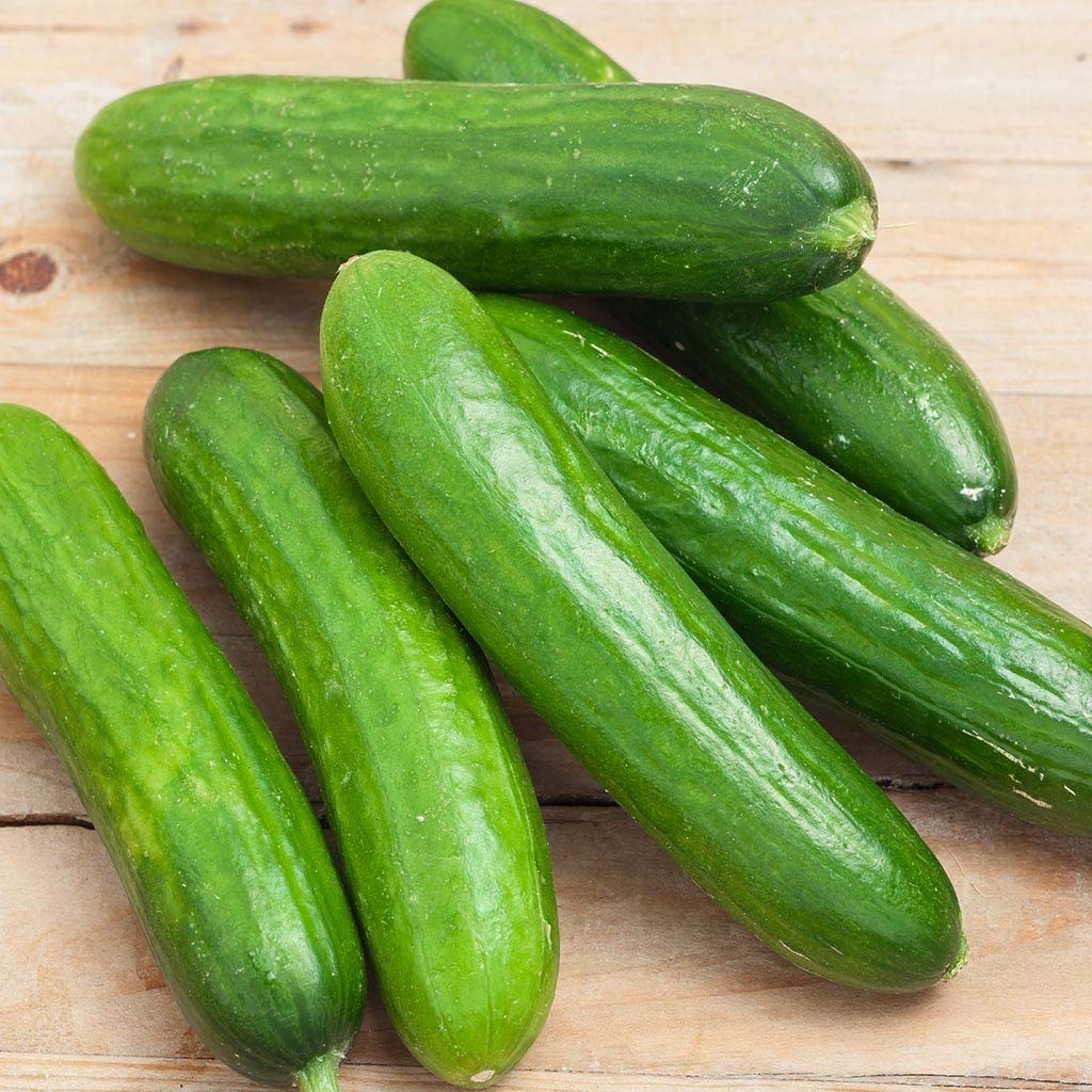 Spacemaster 80 Cucumber Seeds - 100 Count Seed Pack - Non-GMO - Produces Large Numbers of flavorful, Full-Sized Slicing Cucumbers Perfect for The Small Garden. - Country Creek LLC