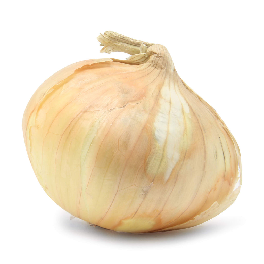 Vidalia Onion