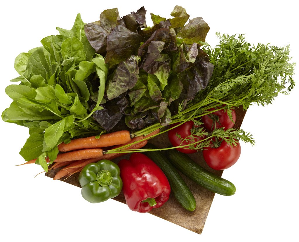 Salad Lover