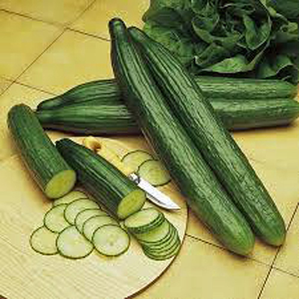 Cucumber, Long Green Improved, Heirloom, 20 Seeds, Great for Any Veggie Plate