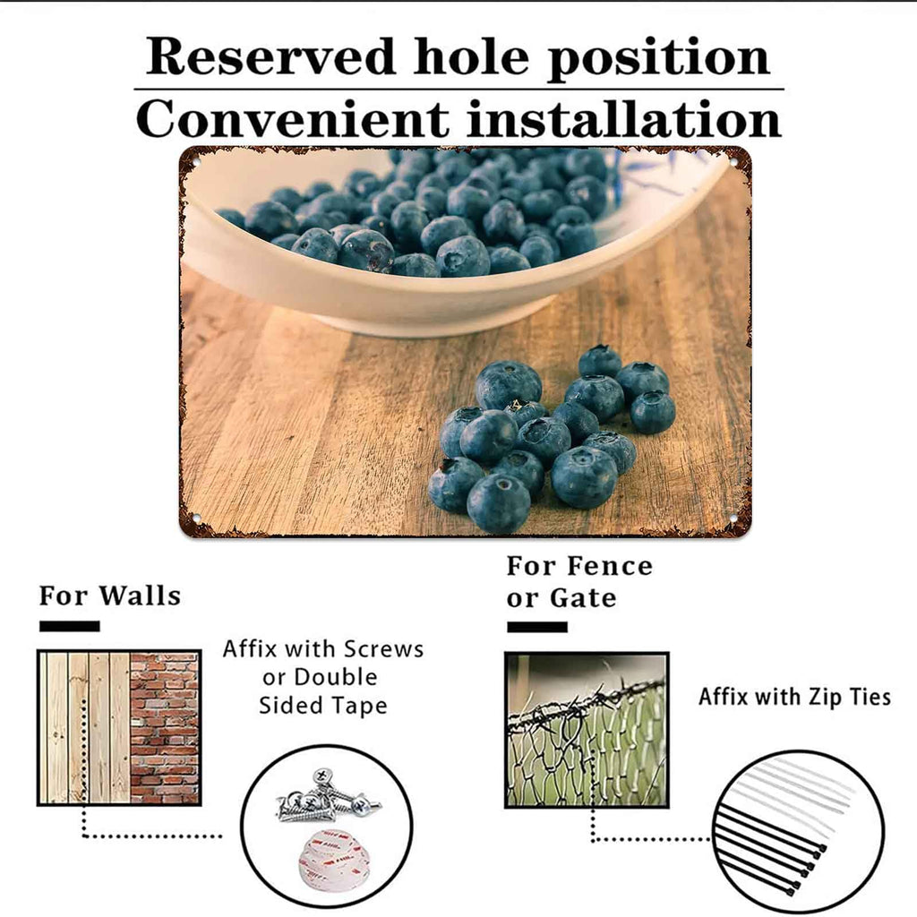Fresh Blueberries In Bowl Metal Sign 8 x 12 Inch