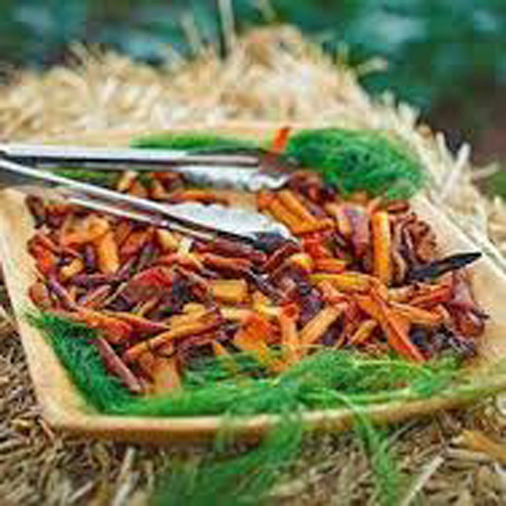 Carrot, Scarlet Nantes, Heirloom, 100 Seeds, Tasty Carrot for Snacks