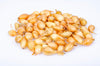 Fresh Yellow Shallots by RawJoy Farms
