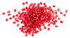 Fresh Organic Red Juicy Pomegranate Seeds by RawJoy Farms, 1 Pound