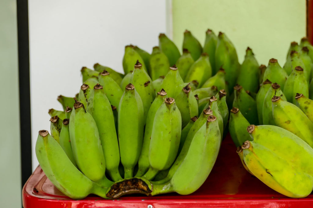 Fresh Organic Green Plantain Bananas by RawJoy Farms, 1 Pound