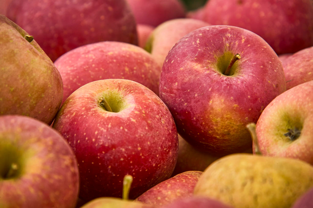 Fresh delicious Macintosh apples by RawJoy Farms, 1 Pound