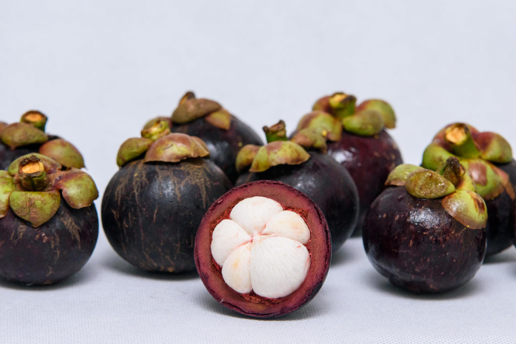 Fresh Mangosteen Fruit by RawJoy Farms