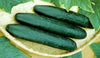 Cucumber, Straight Eight Cucumber Seeds, Heirloom, 499+ Seeds, Great for Salads/Snack