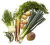 Farmers Market Vegetable Stock Bundle