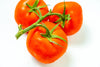 Organic Fresh Red Stem Tomatoes by RawJoy Farms, 1 Pound