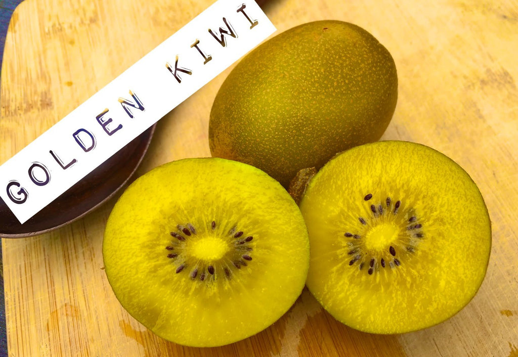 Fresh Golden Kiwi Fruit Kiwifruit (2 Pounds)
