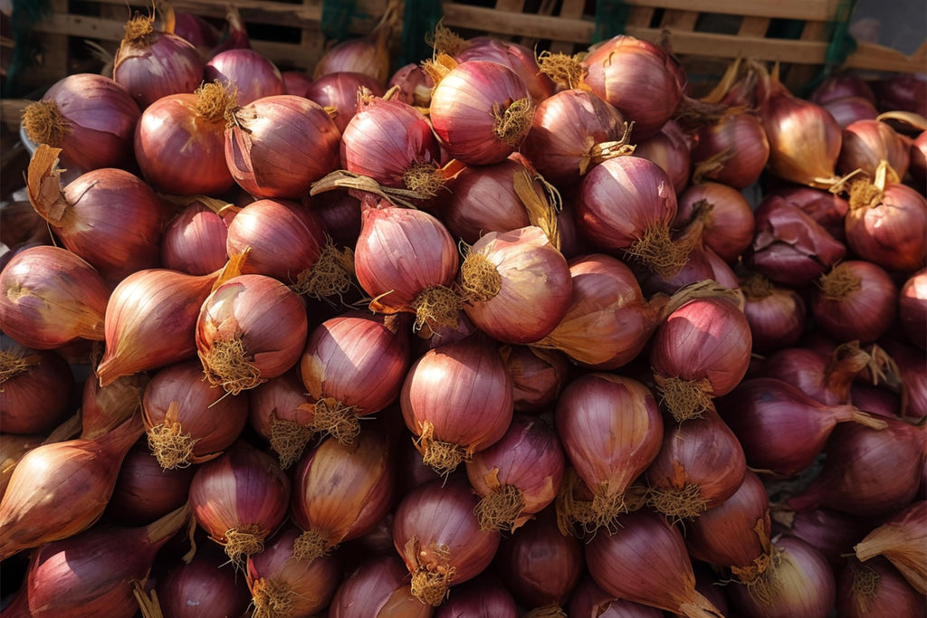 Fresh Shallots by RawJoy Farms