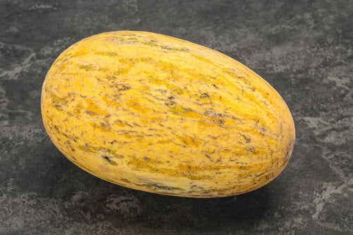 Fresh Spaghetti Squash by RawJoy Farms