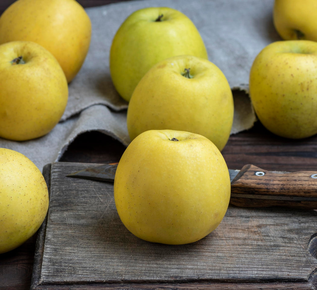 Fresh Ginger Gold delicious apples by RawJoy Farms, 2 Pound
