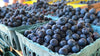 Fresh Blueberries by RawJoy Farms.