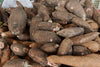 Fresh Oraganic Yuca Cassava by RawJoy Farms