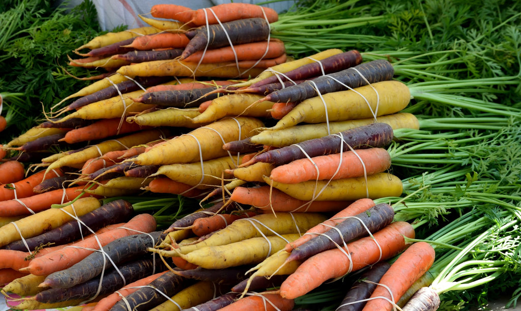 Organic Fresh Rainbow Carrots by RawJoy Farms, 2 Pound