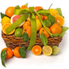A Gift Inside Fresh Fruit Gift Basket – Citrus Gift with Navel Oranges, Ruby Grapefruit, Mandarins, Lemons & Limes, Premium Fresh Kosher Fruit Gift