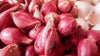 Fresh Red Shallot by RawJoy Farms