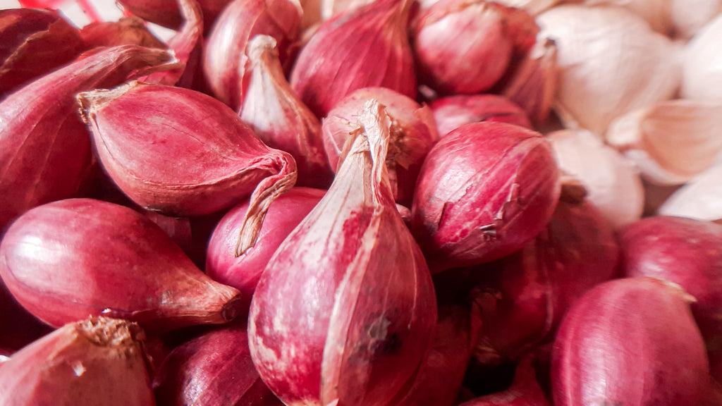 Fresh Red Shallot by RawJoy Farms