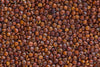 Fresh Red Quinoa By RawJoy | Organic Fresh Red Quinoa Beans, 10 Pound