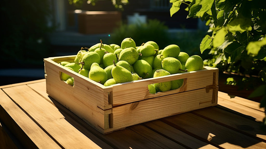 Fresh delicious D'anjou Pears by RawJoy Farms, 1 Pound