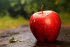 Fresh delicious red apples by RawJoy Farms, 1 Pound