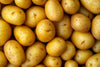 Organic Fresh Yellow Potatoes by RawJoy Farms